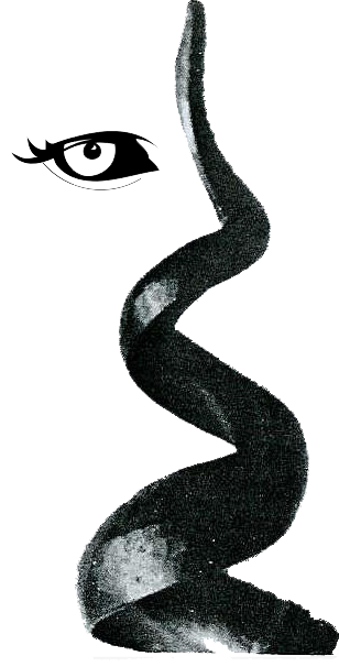 SensorsView logo